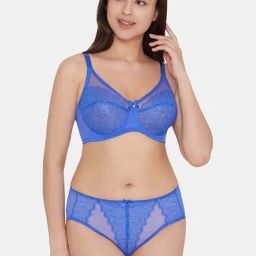 Wacoal Blue Lace Work Hi-Cut Panty-47