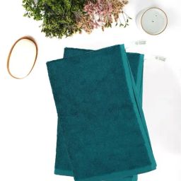 Doctor Towels Banana Terry Teal 550 GSM Viscose Hand Towel (Set of 2)-36
