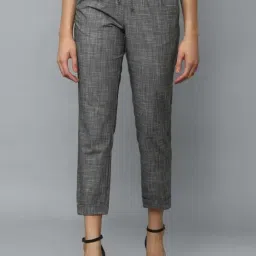 Allen Solly Grey Self Pattern Trousers-15