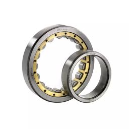 BM3 Cylindrical Roller Bearing, Inner Dia 55 mm, Outer Dia 120 mm , Width 29 mm, N-311 M-49