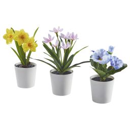 ikea fejka Artifi potted plant w pot, set of 3, in/outdoor flower, 6 cm-picture-23