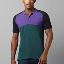 Allen Solly Multicolored Cotton Regular Fit Colour Block Polo T-Shirt-image-17