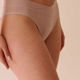 La Vie En Rose Beige Perfect Fit Bikini Panty-image-49