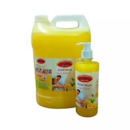 DEV 5 L & 500 ml Refillable Bottle Lemon Fragrance Liquid Handwash-9