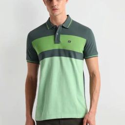 Arrow Sports Green Regular Fit Colour Block Polo T-Shirt-image-61
