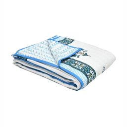 Sangria White & Blue Ethnic Motifs Printed Pure Cotton 150 GSM Double Bed Dohar-image-50
