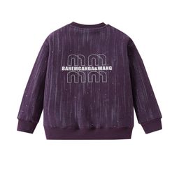 Hopscotch Boys Purple BLENDED Sweatshirts-picture-28