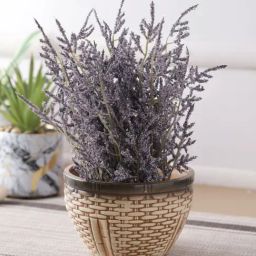 Tayhaa Beige Beige Ceramic Pot-picture-29
