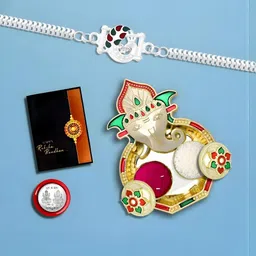 DeoDap Rakhi Combo for Brother with Dish, Pooja Coin, Roli Chawal & Greeting Card-image-99