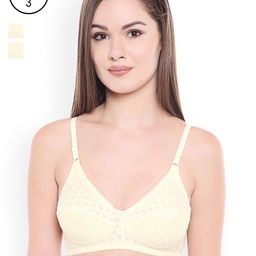 BODYCARE Pack of 3 Yellow Solid Non-Wired Non-Padded Everyady Bras E1506LELELE-picture-47