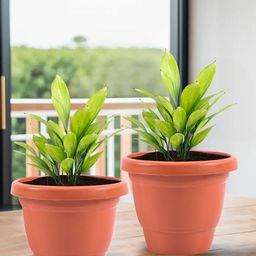 Kuber Industries Orange 6 Pieces Versatile & Sturdy Flower Planters-6