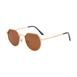 Ted Smith Brown Hexagon UV Protection Unisex Sunglasses-image-50