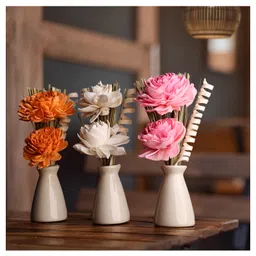 iris homefragrances Iris Home Fragrances Botonical Trio ceramic pots with dry flowers in a wooden Box- 520g-picture-14