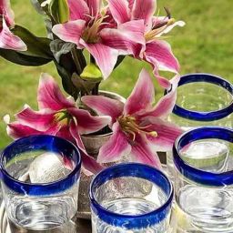 Home4U Hadlee Transparent Drinking Glasses (500 ml) - Set of 6 image 2
