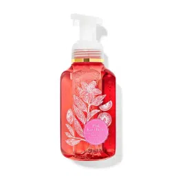Bath & Body Works Pink Kiwi Berry Gentle & Clean Foaming Hand Soap-picture-30