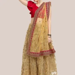 Dupatta Bazaar Gold Zari Work Dupatta-48