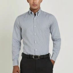 Allen Solly Grey Cotton Regular Fit Striped Shirt-image-5