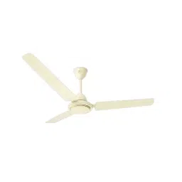 RR Signature TIGER Ceiling Fan Ivory 600 mm Sweep 380 RPM-image-78