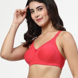 LILY Full Coverage Non Padded Non-Wired Back Closure Minimizer Bra image 5