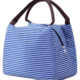 FunBlast Multi-Purpose Carrying Insulated Travel Lunch Bag Blue-picture-2