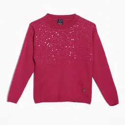 Allen Solly Junior Girls Embroidered Pullover with Embellished Detail-picture-46