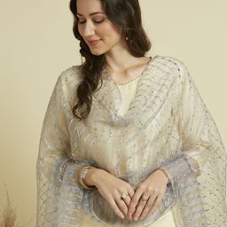 Dupatta Bazaar Woven Design Organza Dupatta with Zari image 2