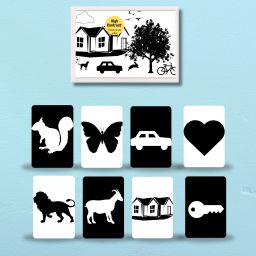 High Contrast Flashcards: Black and White Visual Learning for Babies-12