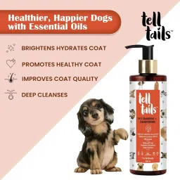 tell tails 2-in-1 Shampoo & Conditioner| Deep Cleanses & Condition| Hydrate & Improves Coat Conditioning Mint Dog Shampoo image 2