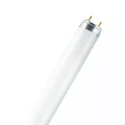 Ledvance 26 mm 36W T8 Lumilux Flourscent Lamps-30