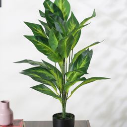 Arick Decor Artificial Dieffenbachia Plant for Home Decor/Office Decor/Gifting | with Basic Black Pot(26 Leaves, 70 cm,)-image-73