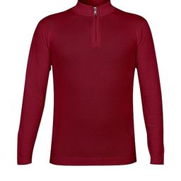 CLOTHIFY Boys High Neck Zip Detail Pullover Sweaters-image-47