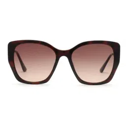bebe Brown Cat Eye Sunglasses for Women-image-79
