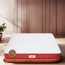 COIRFIT Maroon & White Quilted Chemical Free Natural Coir Single Size Orthopedic Mattress-image-79
