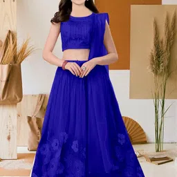 F Plus Fashion Multi Net Lehenga Choli-image-49