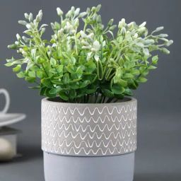 Tayhaa Grey Ceramic Planter-image-42