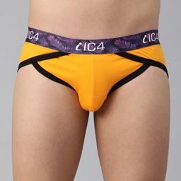 IC4 Men Pack Of 2 Knitted Basic Assorted Briefs 0C-G-Y-253P3 image 2