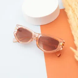 Ted Smith Brown Cat Eye UV Protection Sunglasses for Women-41