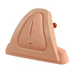 A-ONE SCIENCE Skin Color PVC Preneum Cutting And Suturing Training Simulator Model AOSBM199-image-28