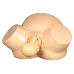 A-ONE SCIENCE Skin Color PVC Modwifery Trainig Simualtor Model AOSBM195-image-36