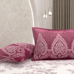 Pure Decor Ethnic Motifs Print Queen Cotton Bedsheet with 2 Pillow Covers-image-45