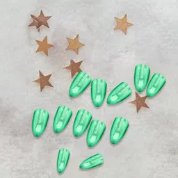 PRIVIU Set Of 12 Reusable Chromatic Nail With Application Kit - Jade Green image 3