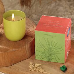 Parkash Candles Premium Scented Glass Candle - Lemon Grass-picture-25