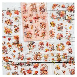 Birthday Popper Floral Kawaii Stickers Orange, Pack of 10 as Birthday Return Gifts for Kids | Transparent Stickers for Journal, Diary, DIY Art Crafts, Natural Flowers Decorative Stickers-picture-8