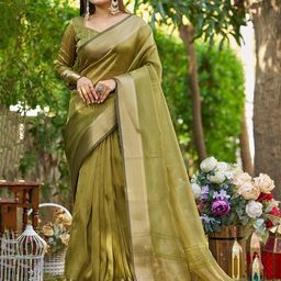 all about you Tissue Saree with Zari Woven Design Border-picture-19