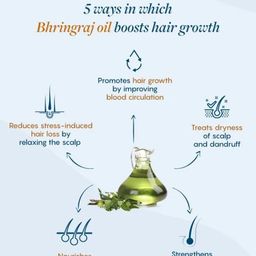 ANI'S Set Of 2 Bhringraj Hair Oils -100ml Each image 2