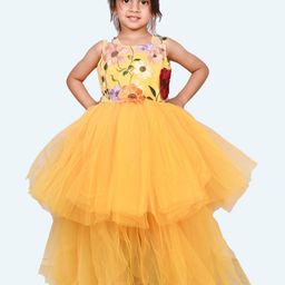 Modish Net Fit & Flare Dress-12