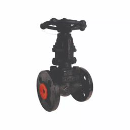 PMW 1 inch 25 mm A-105 Forged Steel Globe Valve Flanged End-picture-29