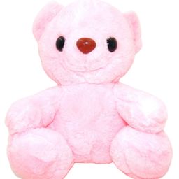 Sanjary Teddy Shaped Adorable Soft Toy Height 22 cm Colour May Vary-3