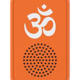Saregama Carvaan Bhakti Plug Play Devotional Music Player - Pre-Loaded with 25 Mantras and Chalisa | Bluetooth Connectivity (Devotional Orange)-18