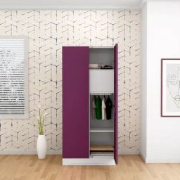 Godrej Interio Slimline 2-Door Steel Almirah, Purple (1-Year Warranty, 1 Locker)-image-98